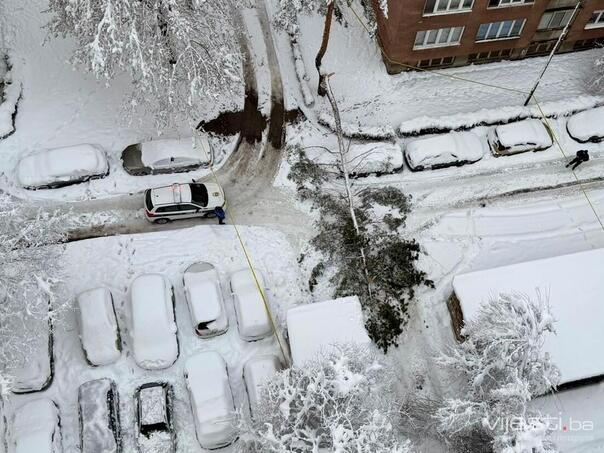 Tragedy on Grbavica: A woman who was hit by a tree has died