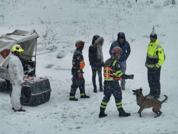 VD Vogošća presented three internationally licensed search dogs
