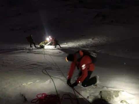 Stray female citizens of Serbia rescued near Goražde
