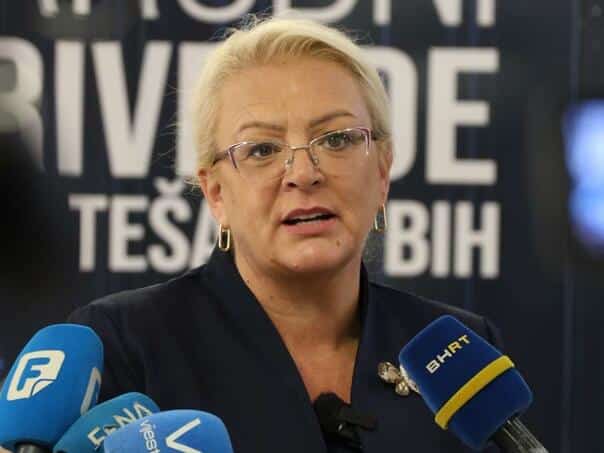 Bradara withdrew the request for constitutional review of the Law on Southern Interconnection