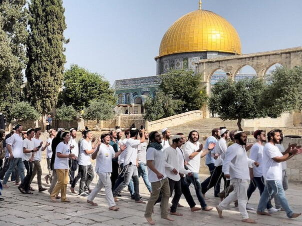 Dozens of Israeli settlers stormed Al-Aqsa on the fifth day of Ramadan