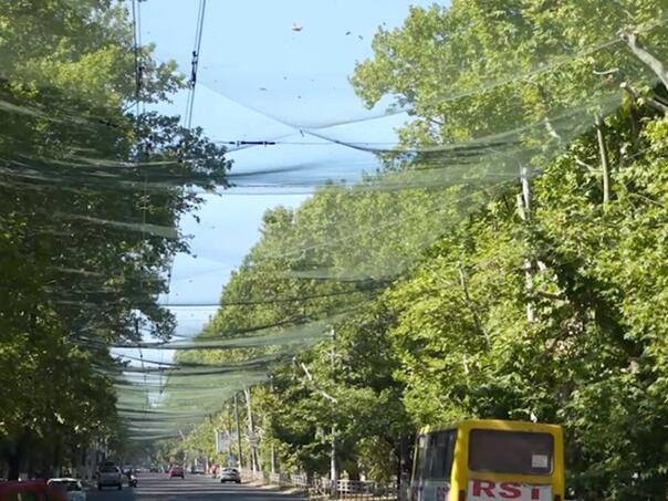 Kherson, a city on the front line: Life underground and anti-drone nets