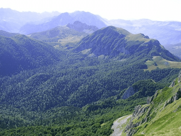 Missing Montenegrin citizens found in Zelengora