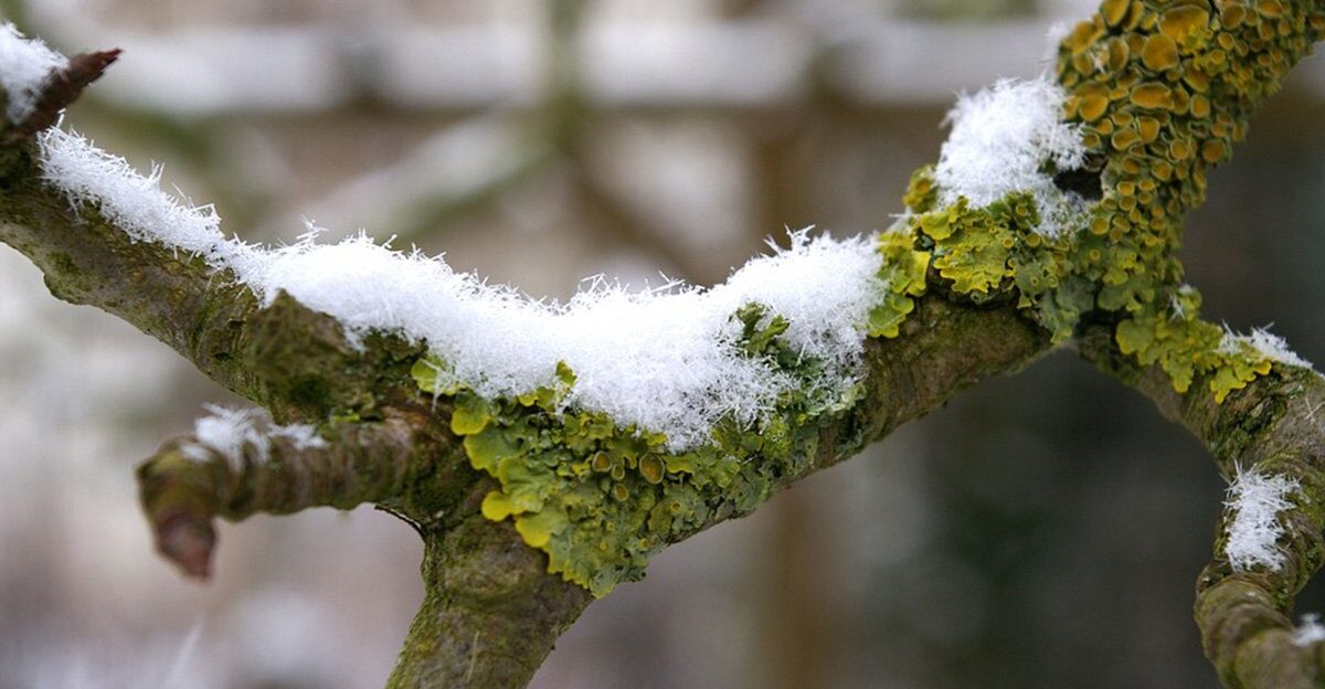 Weather change in Bosnia and Herzegovina: Rainfall across the country