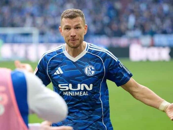 Video: Dzeko scored another goal for Schalke!