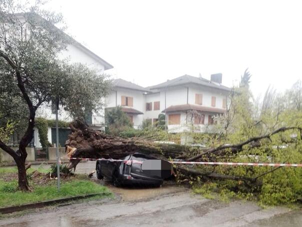 Emilia-Romagna hit by winds, firefighters responded to more than 100 calls