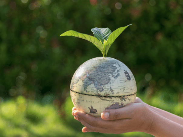 The European Commission is investing more than 103 million euros in environmental and climate projects