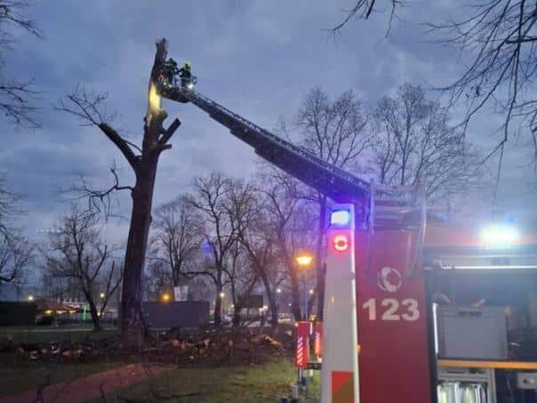 Lightning struck a tree in the Banja Luka park, firefighters intervened