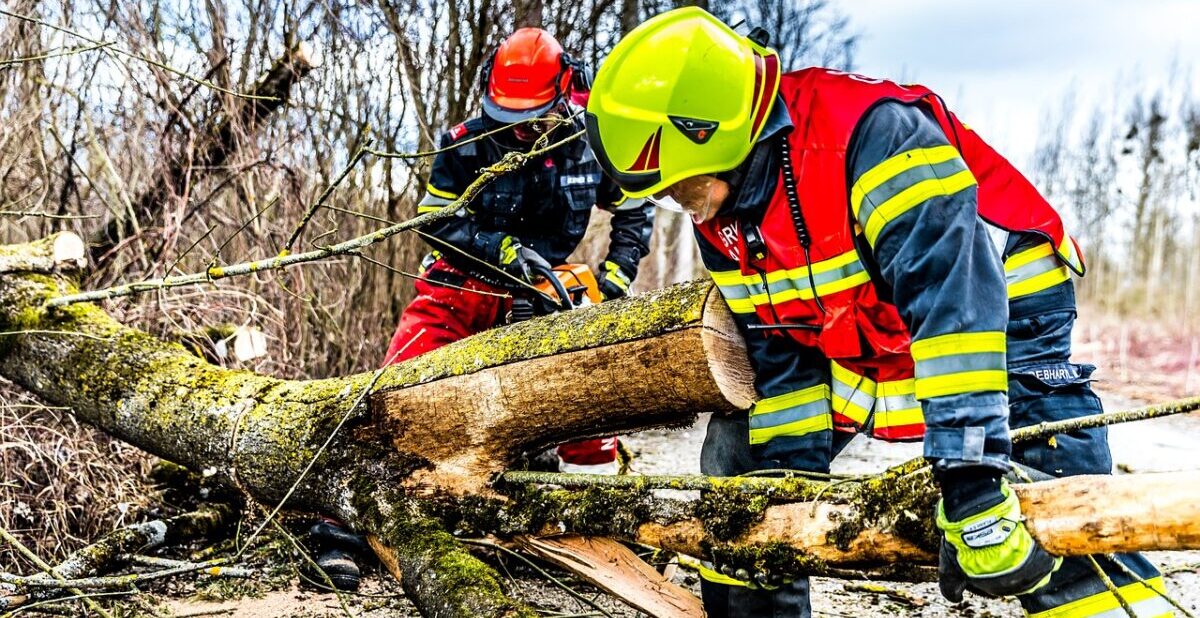 Zagreb paralyzed: The stormy wind created chaos, an urgent decision was made for schools