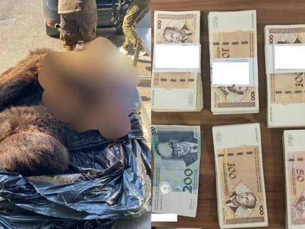 On the Croatian-BiH border, a Serb was caught with a bear’s head in his trunk