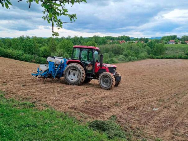 Never more expensive sowing in Bosnia and Herzegovina, farmers "on exhalation"