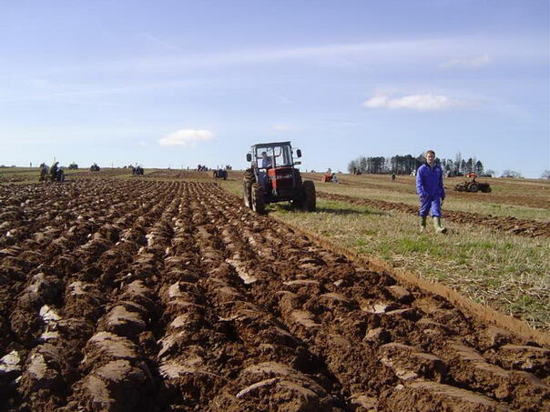 The increase in energy prices increases the costs of sowing preparation in Bosnia and Herzegovina
