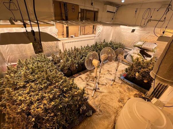 Police in Sarajevo found two marijuana laboratories