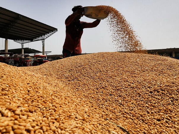 Wheat production in decline, food price indices on the rise