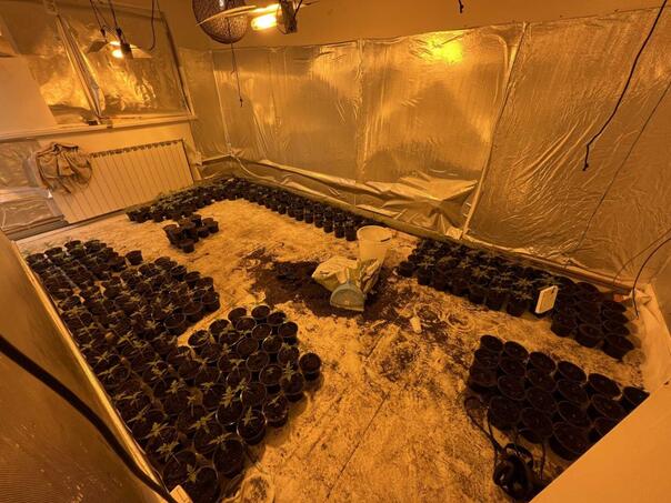 Two marijuana growing laboratories were found in Sarajevo