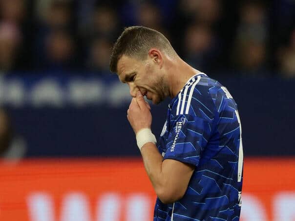 Schalke filed a complaint about Edin Dzeka