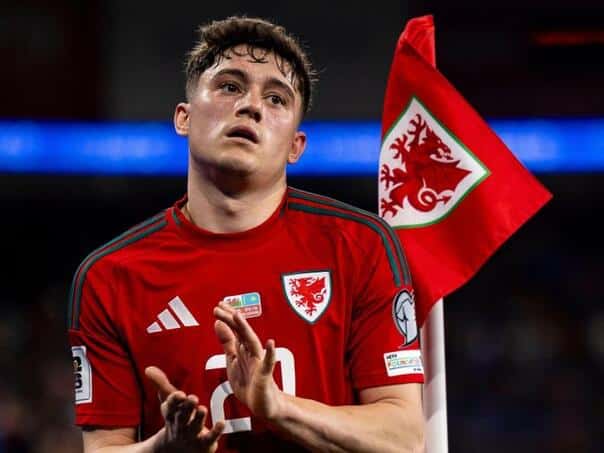 The Wales coach announced the list of players for Bosnia and Herzegovina