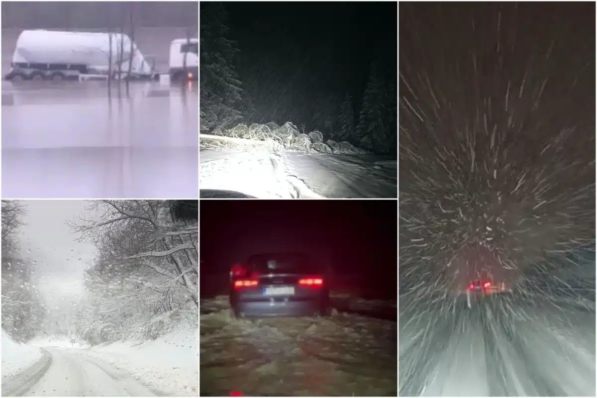 New snow, new troubles: Landslides and trees in Bosnia and Herzegovina. roads, driving through water, trucks getting stuck