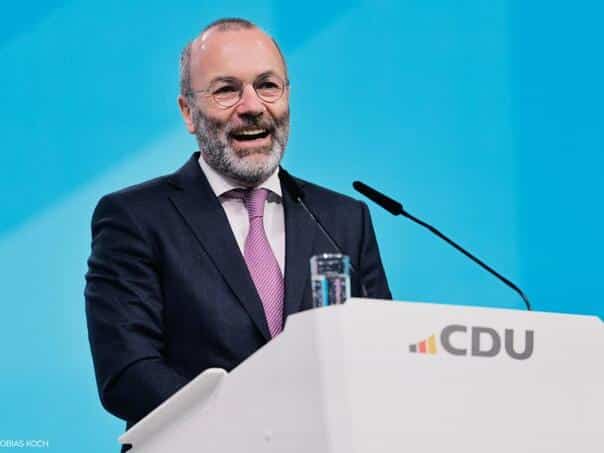 Weber: Neo-Nazis in the AfD will not form a majority