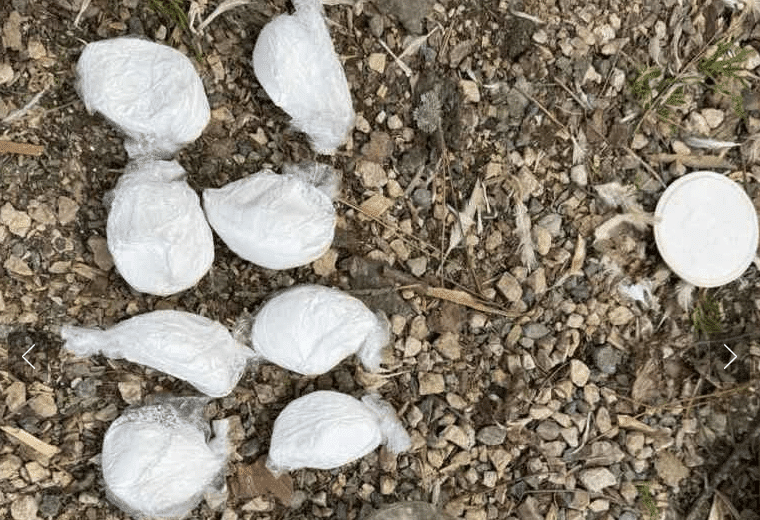Photo/Police Department of the Ministry of Internal Affairs, TK: During a search in Banovići, drugs were found, one person was arrested