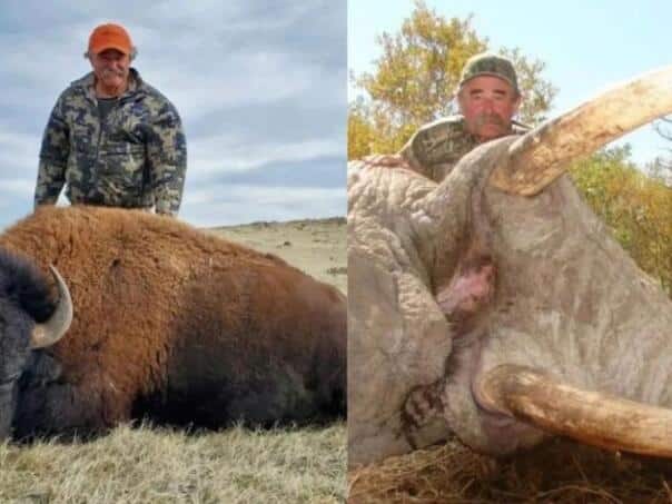 An American millionaire was killed in an antelope hunting accident