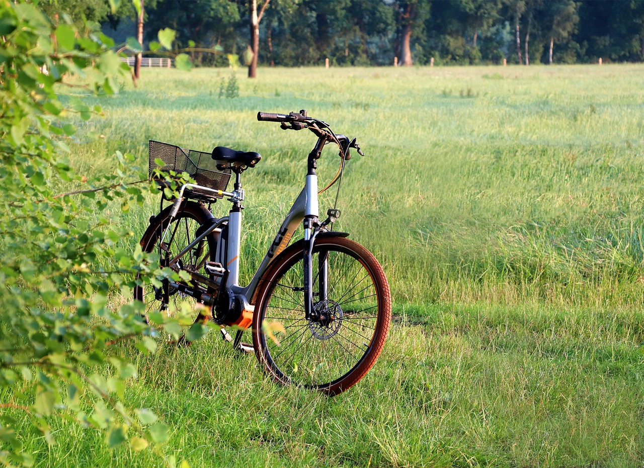 More expensive fuel changes habits: More and more citizens choose bicycles