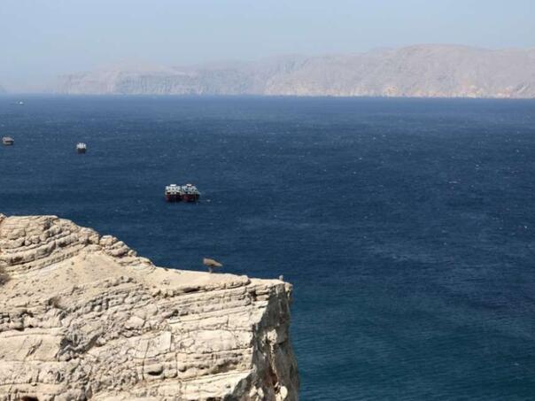 Italy is ready to deploy four ships in the Strait of Hormuz