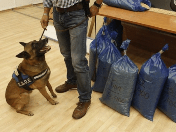 He sent a package with shoes by bus, the cocaine in it exposed the drug gang