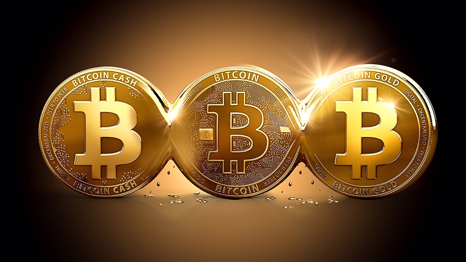 SpaceX among the ten largest corporate owners of bitcoin
