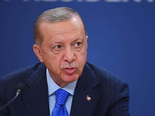 Erdogan confirms Turkey’s support for the UAE amid tensions between Iran and the US