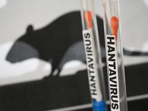How does the world-feared hantavirus spread?