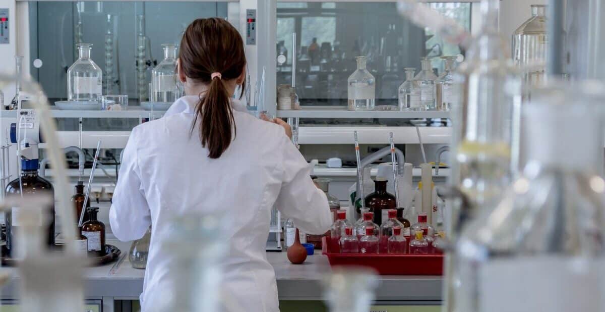 Epidemiologist’s advice: Should the citizens of Bosnia and Herzegovina be worried about the spread of hantavirus