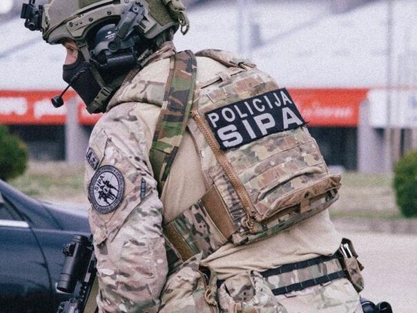 A fugitive and member of the Pink Panther group was arrested at the border of Bosnia and Herzegovina