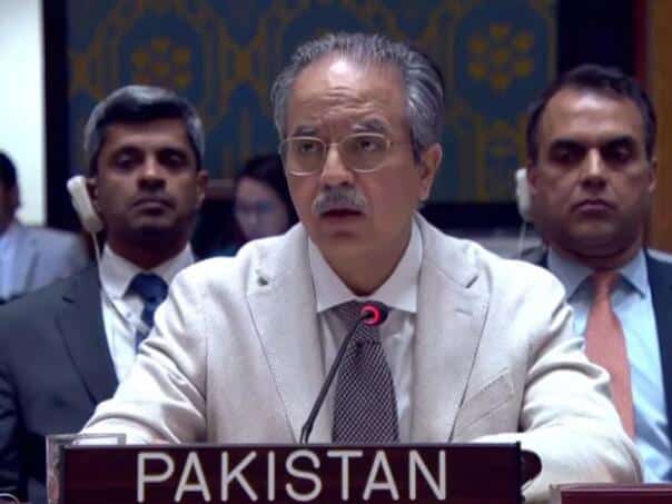 Representative of Pakistan: "One constituent nation is disrupting the peace in Bosnia and Herzegovina"
