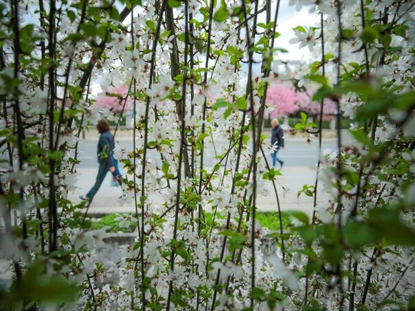 May Day forecast: Minus in the morning, up to 20 degrees in the afternoon
