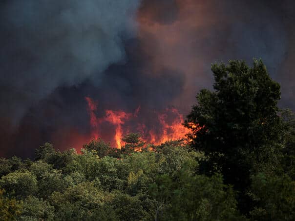 The situation is calming down after the big fire in Tuscany