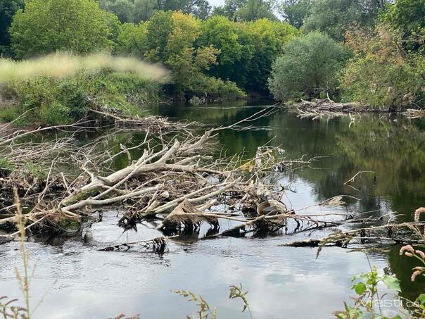 Tragedy in Lukavac: The body of a woman was found in Spreča