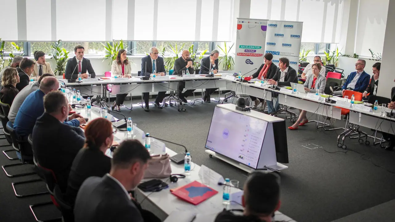 Electronic monitoring of protective measures in FBiH: A step towards safer protection of victims of violence