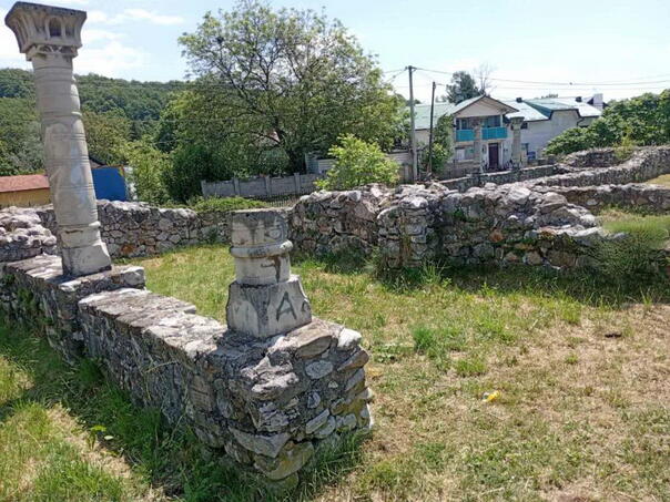 Birch – An uncut cultural-historical and archaeological diamond