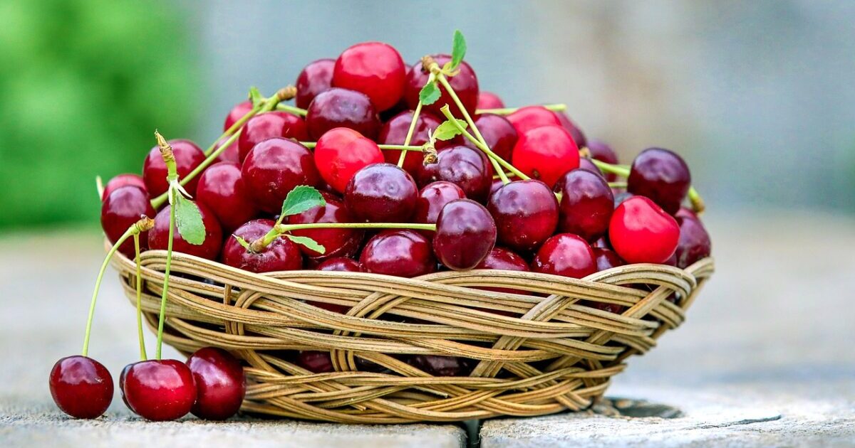 Better cherry season in Bosnia and Herzegovina: Higher yield and lower prices on the market