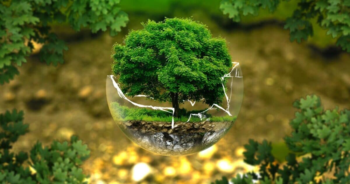 More and more complaints about environmental problems, air pollution among the biggest threats