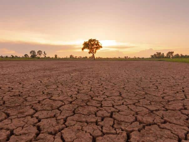 El Niño has officially begun: Scientists warn of "super phenomenon" and record heat