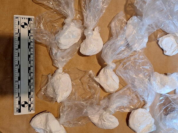 FUP arrested one person in Sarajevo, found 300 grams of amphetamine