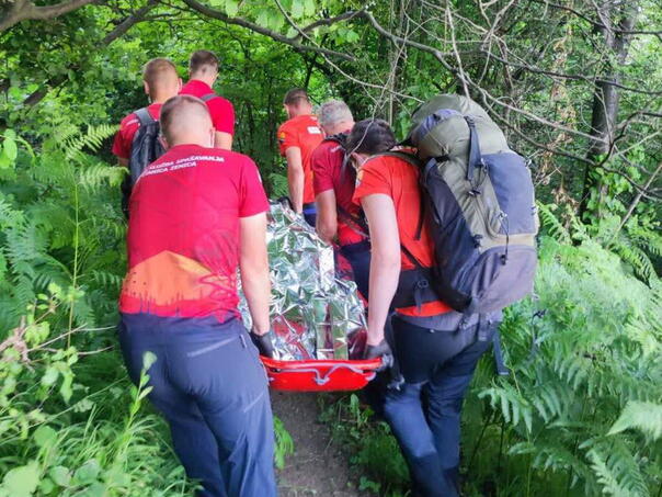 GSS officers found the lifeless body of the missing Milorad Kojić from Zenica