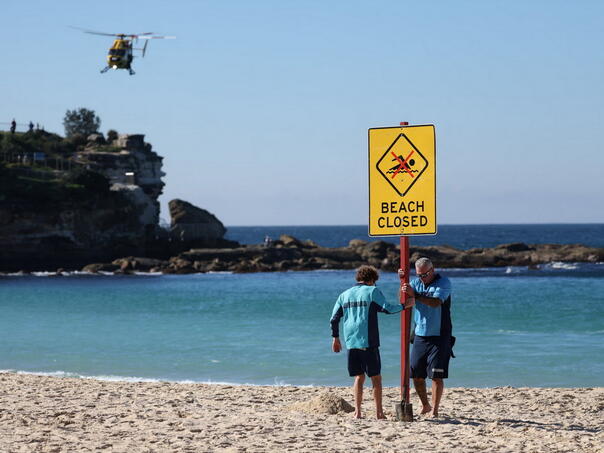 Shark attack in Australia: Woman in critical condition, emergency measures introduced