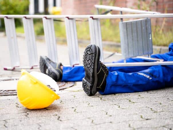 Fell from the roof of a house in Banja Luka, severely injured his spine