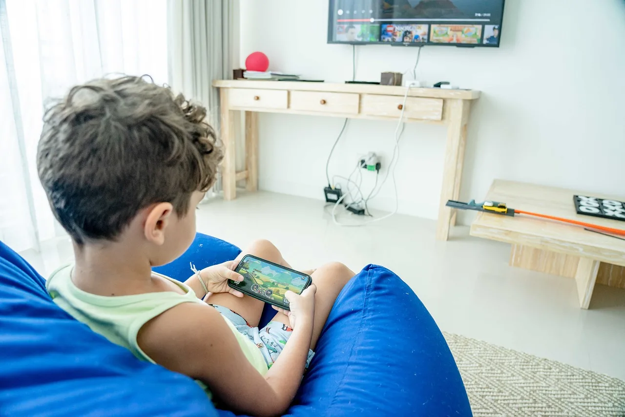 Social networks increasingly shape everyday life, and concern about children and young people is growing