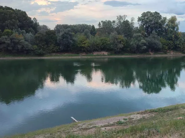 A man’s body was pulled from Sava