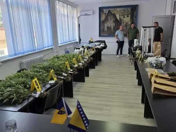 A laboratory for growing marijuana was discovered in Goražde